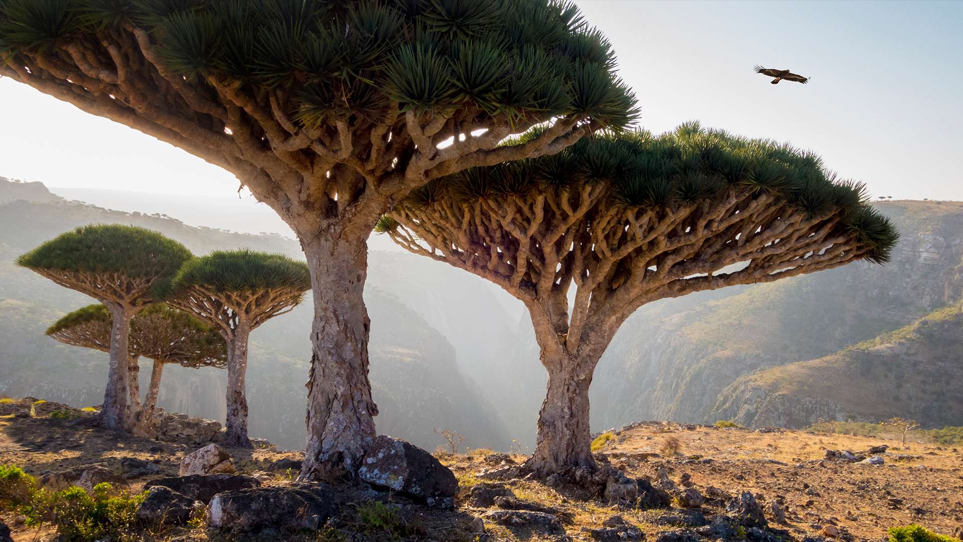 Alien Places to Visit: Earthly Destinations That Feel Out of This World