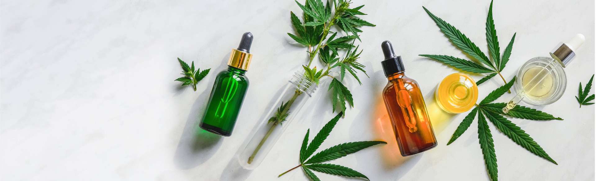 The Ultimate Guide to Cannabis Concentrate Products: Benefits and Uses
