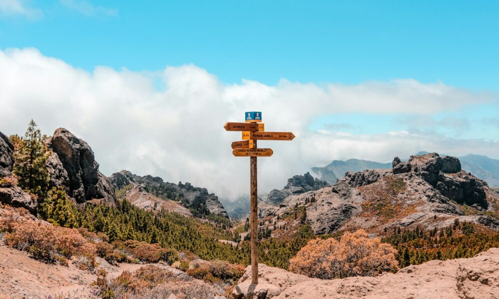 A wooden arrow sign pointing the way, representing planning a career safety net before a big leap