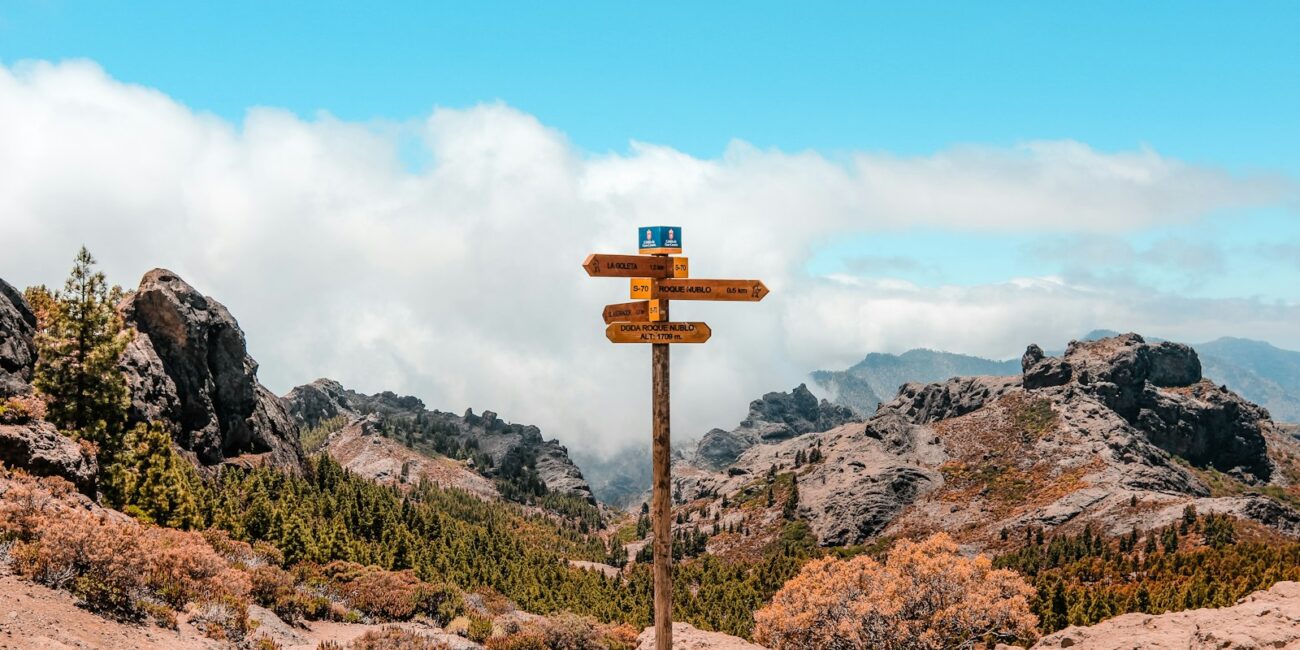 A wooden arrow sign pointing the way, representing planning a career safety net before a big leap