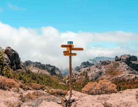 A wooden arrow sign pointing the way, representing planning a career safety net before a big leap