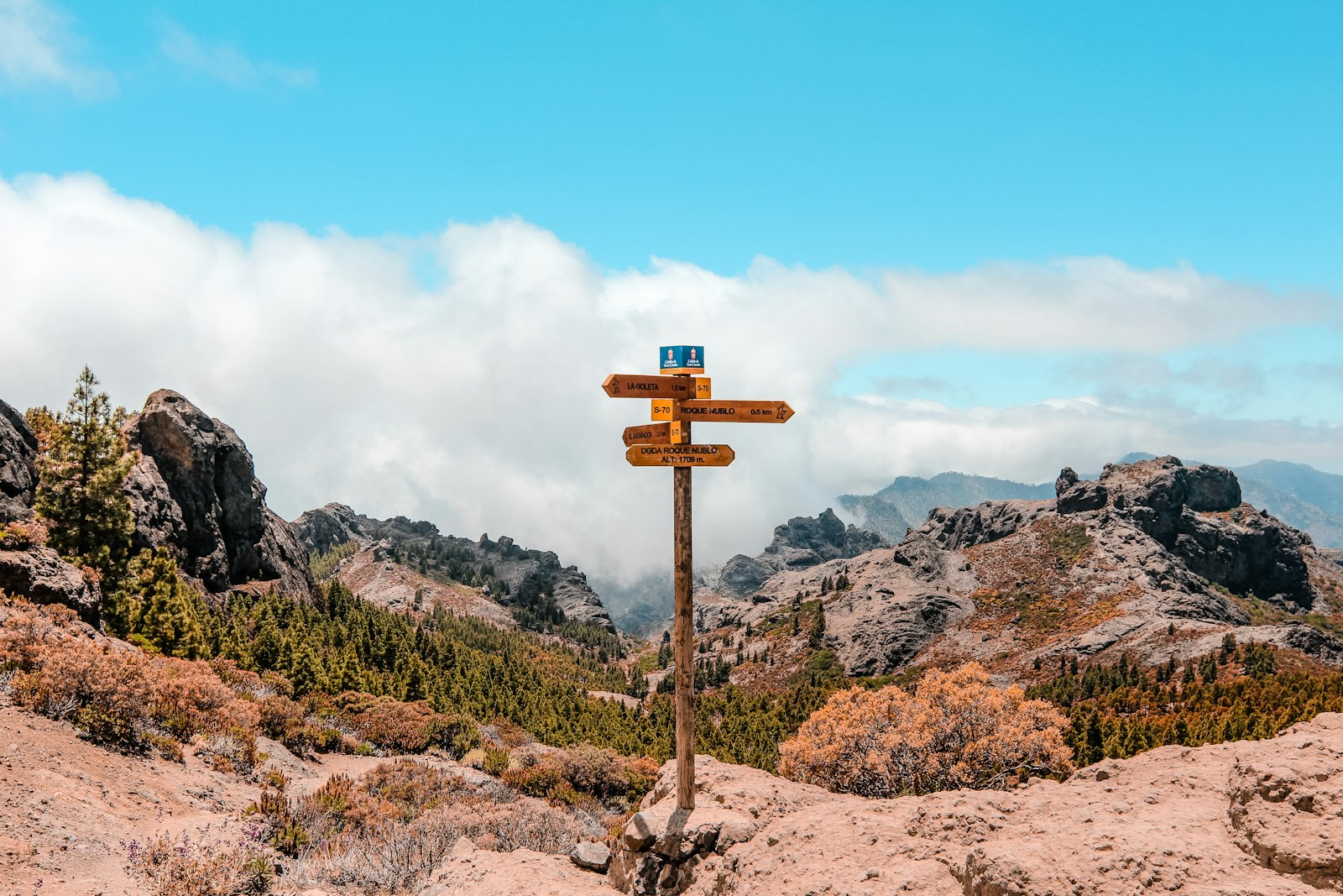 A wooden arrow sign pointing the way, representing planning a career safety net before a big leap